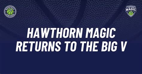 hawthorn magic|hawthorn basketball association fixture.